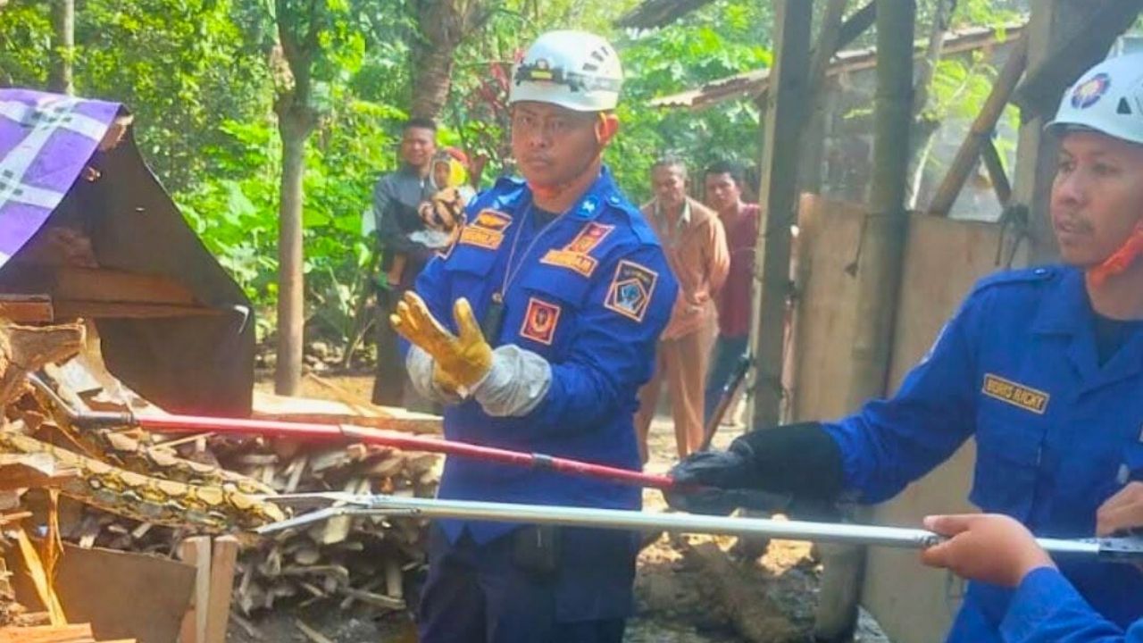Ular Piton Dominasi Laporan, Damkar Blitar Catat 90 Evakuasi Selama 2025