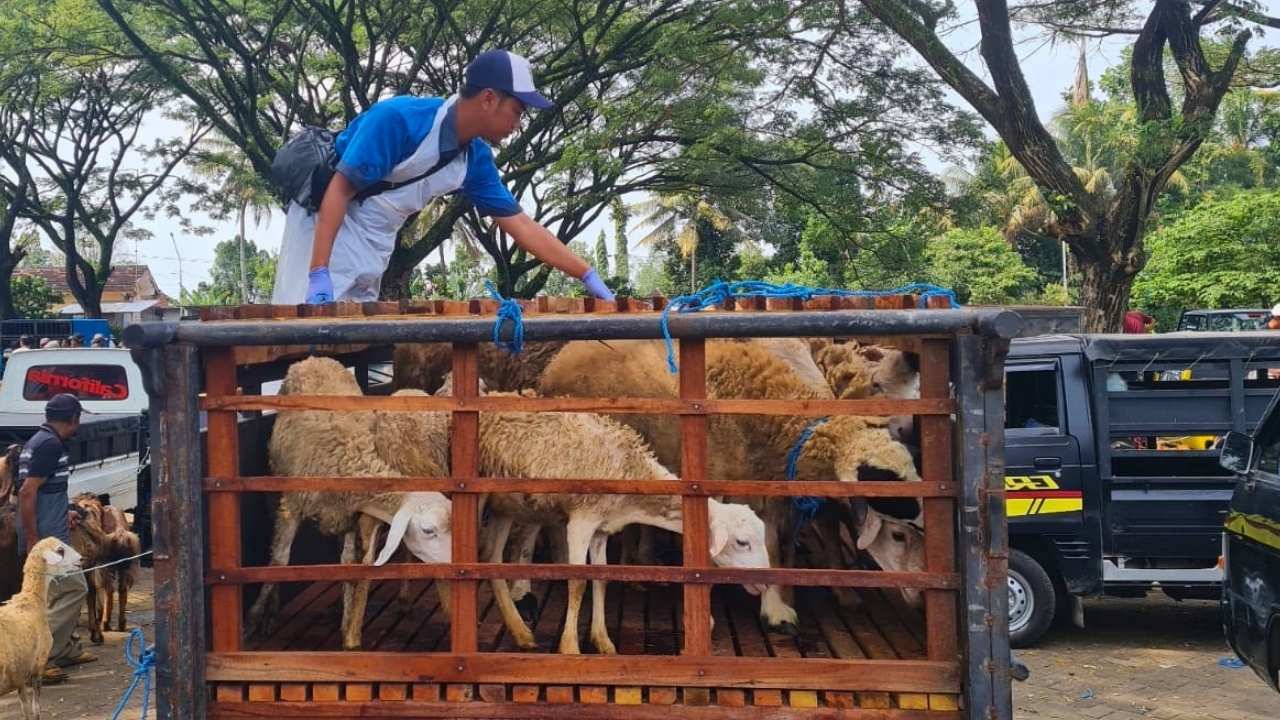 Jelang Idul Adha 2026, Disnakkan Blitar Perketat Pengawasan Hewan Kurban
