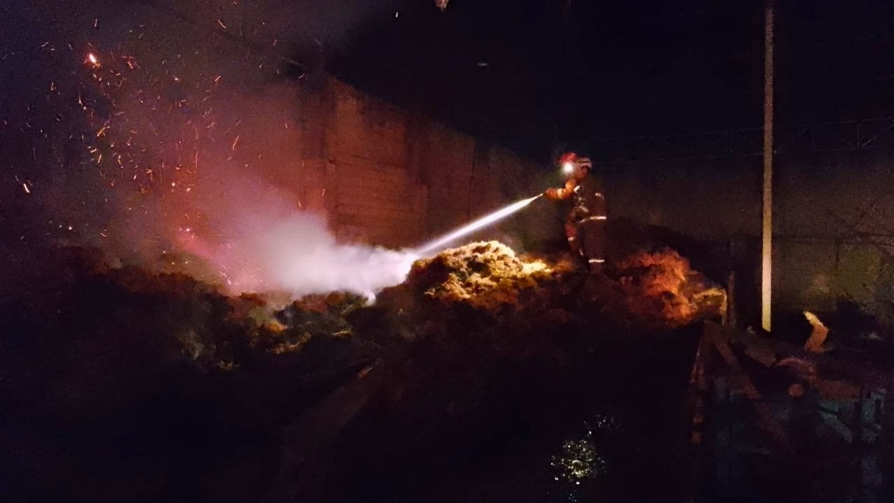 Gudang Sabut Kelapa di Nglegok Blitar Terbakar, Kerugian Capai Rp100 Juta