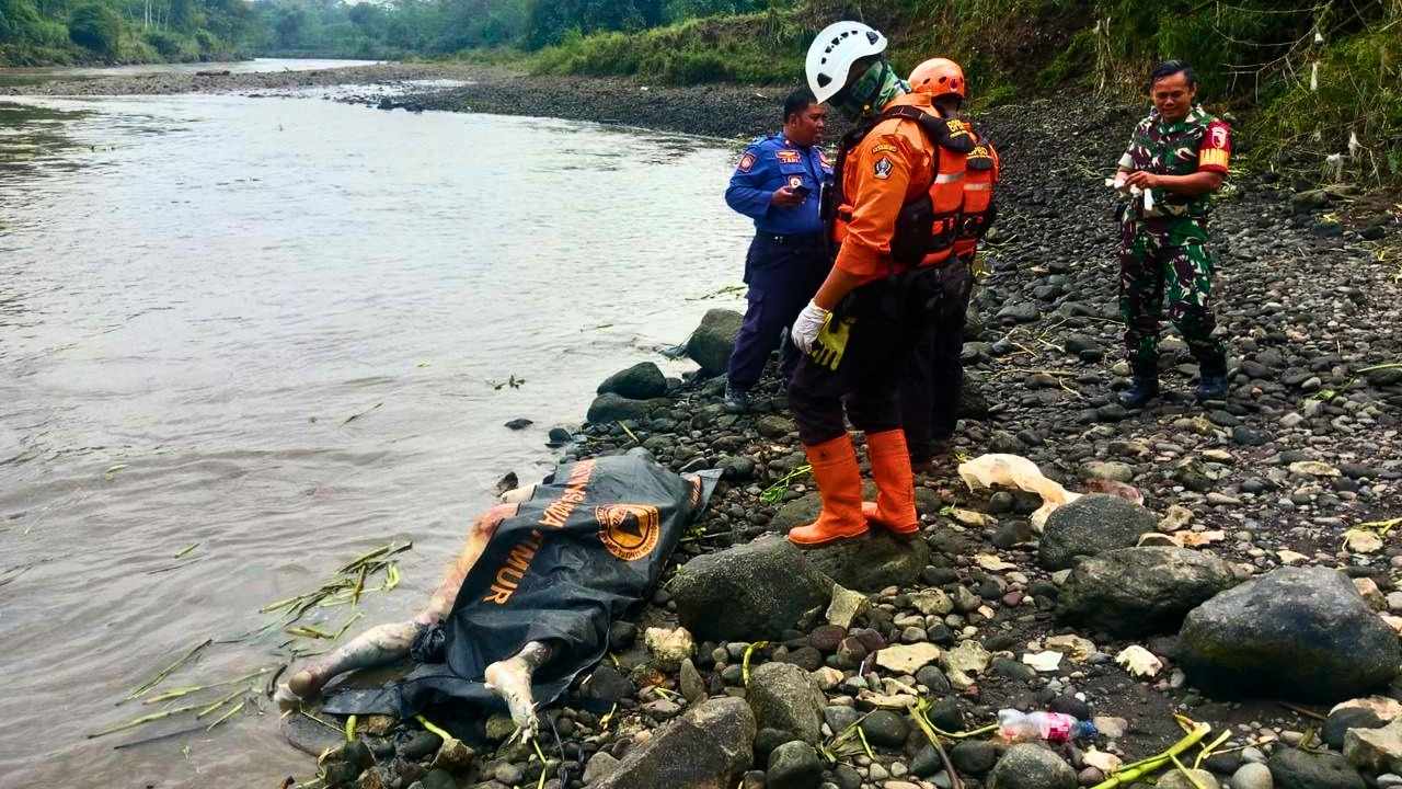 Tiga Hari Dicari, Korban Hanyut saat Pladu di Sungai Brantas Akhirnya Ditemukan