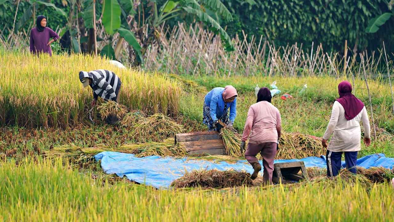 Stok Pangan Aman hingga Idul Fitri, Warga Kabupaten Blitar Diminta Tetap Tenang