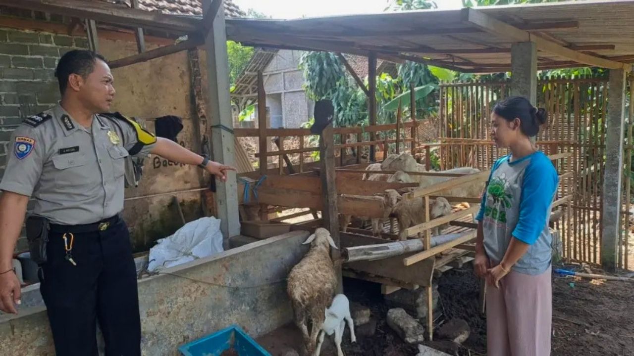 Viral 8 Kambing di Blitar Diduga Dicuri, Polisi Ungkap Fakta Sebenarnya