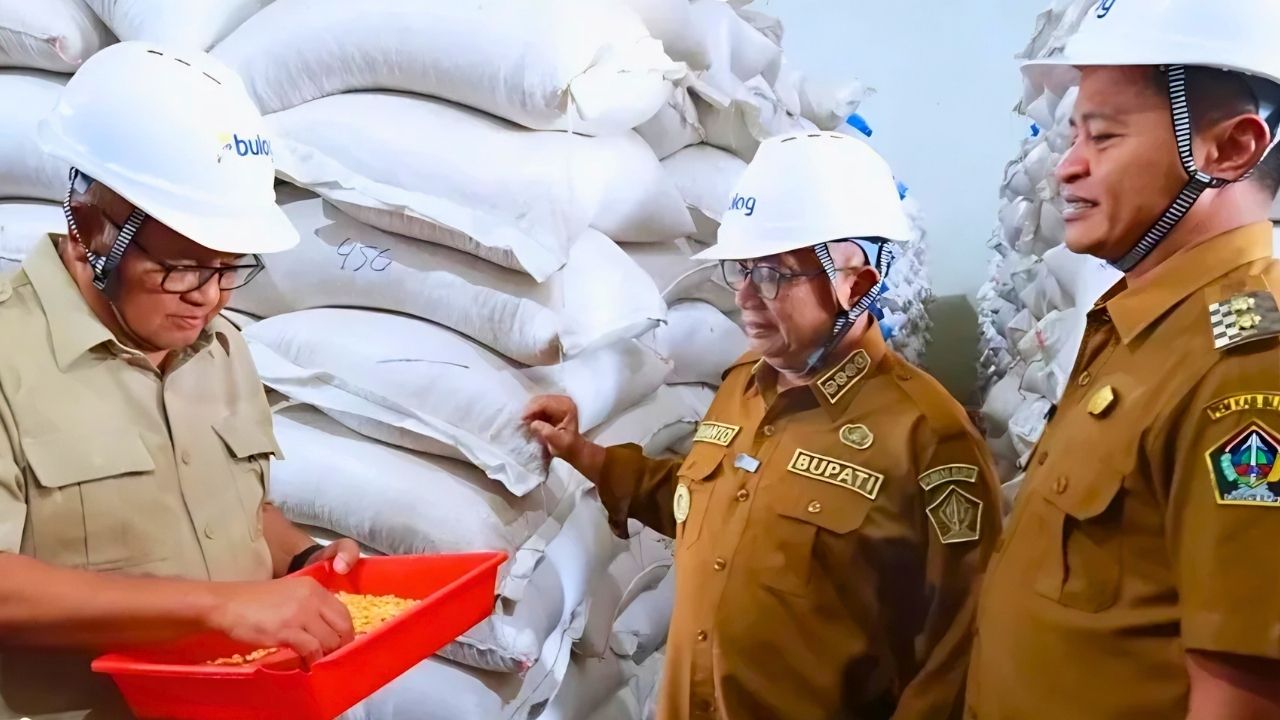 Bulog Serap 30 Ribu Ton Gabah, Stok Pangan Blitar Aman 12 Bulan