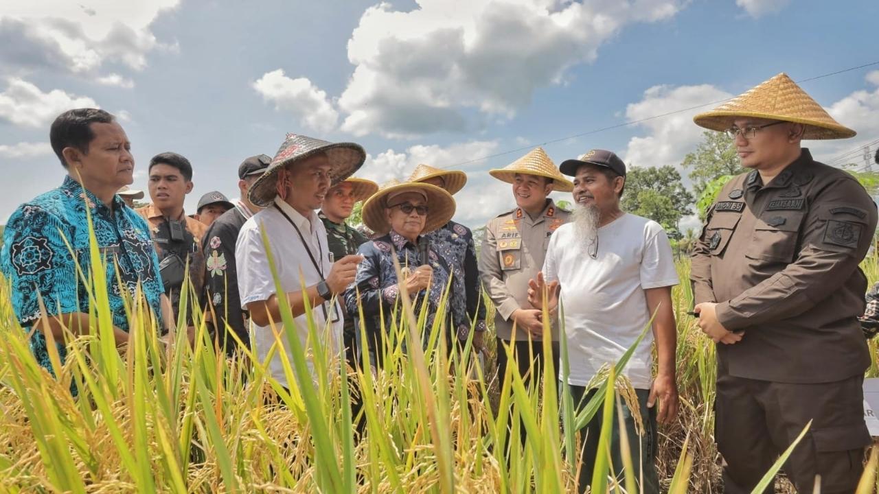 Pacu Swasembada Pangan, Pemkab Blitar Pasang Target Luas Tambah Tanam 52 Ribu Hektare pada 2026