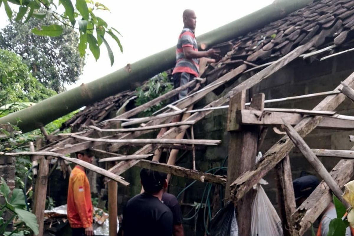 Pohon Tumbang Landa Wilayah Kabupaten Blitar
