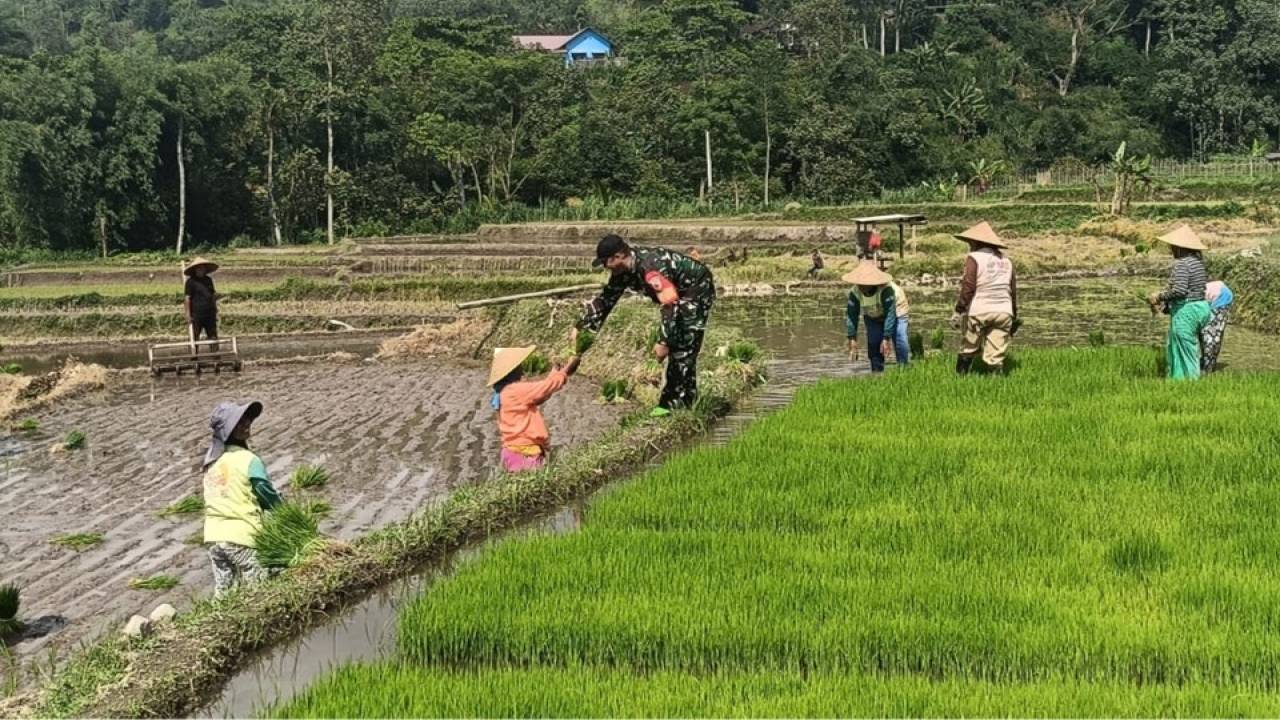 Produksi Beras Kabupaten Blitar Tembus 143.056 ton