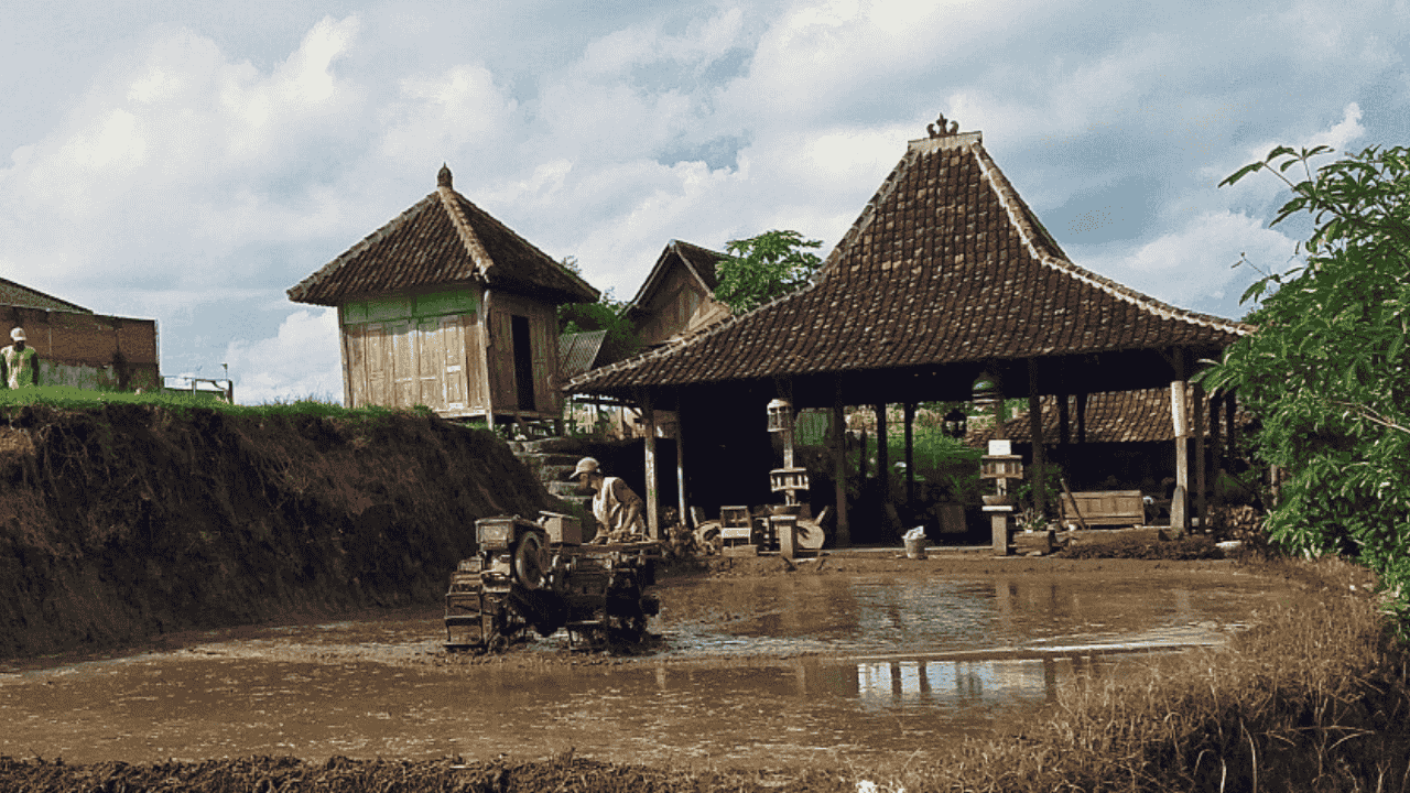 Di Tengah Perkembangan Pembangunan, Lahan Pertanian Kota Blitar Masih Bertahan di 975,88 Hektare