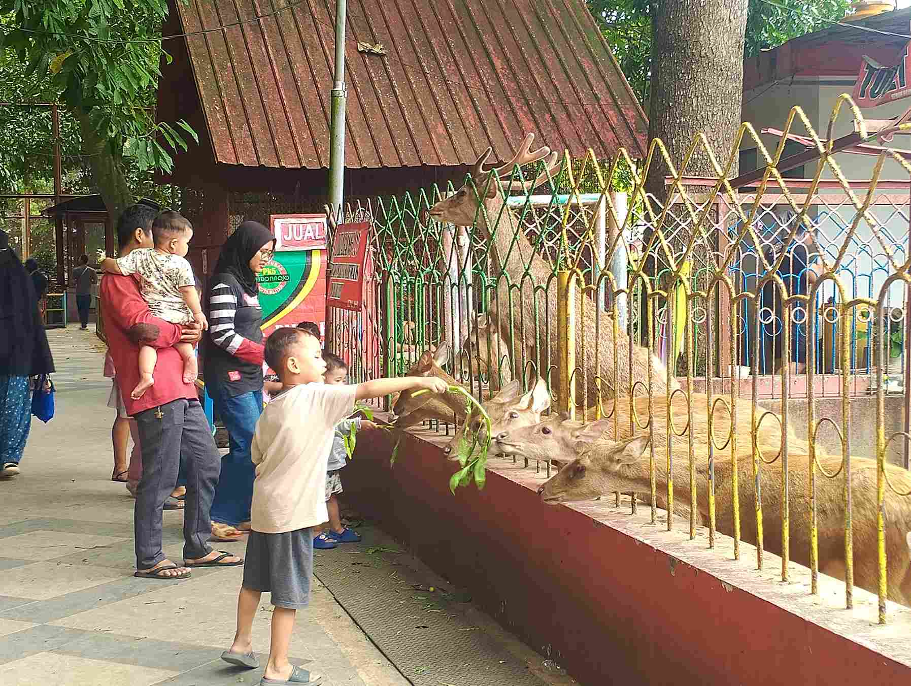 Pemkot Blitar Antisipasi Lonjakan Populasi Rusa di Taman Kebon Rojo