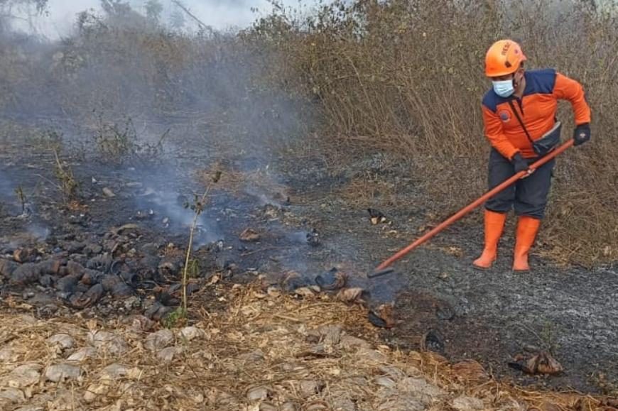Lahan 2 Hektar di Talun Blitar Terbakar, Pemadaman Api Butuh 1,5 Jam