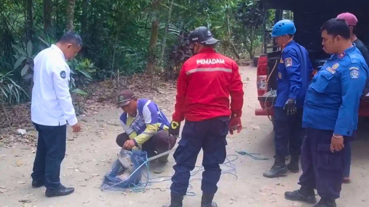 Sempat Masuk Pemukiman, Damkar Blitar Lepas Monyet ke Gunung Kelud