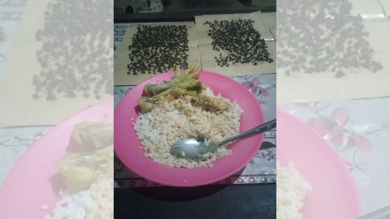 Lalat serang warga Blitar saat makan