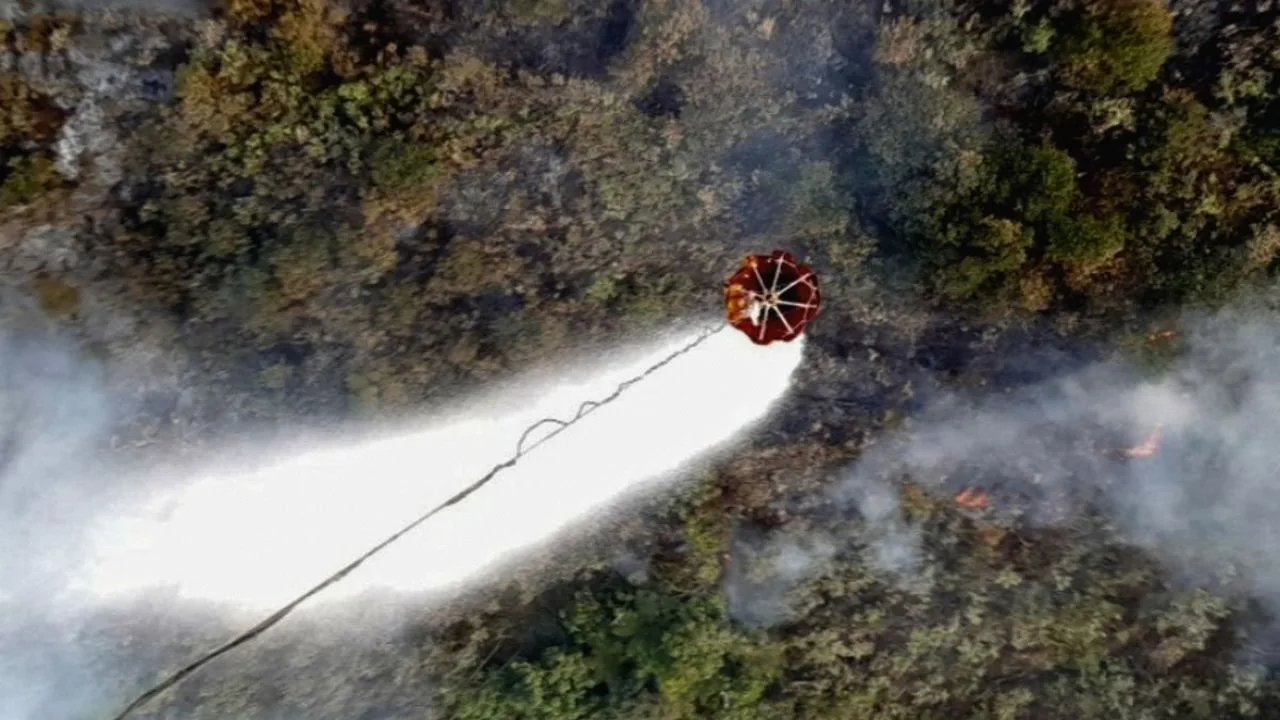 Karhutla Lebih dari Dua Pekan, 864 Hektare Hutan di Gunung Kawi Wilayah Blitar Terbakar