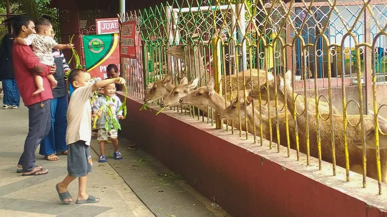 Bukan Sekadar Kebun Binatang Mini, Taman Kebon Rojo Blitar Simpan Jejak Sejarah Hindia Belanda