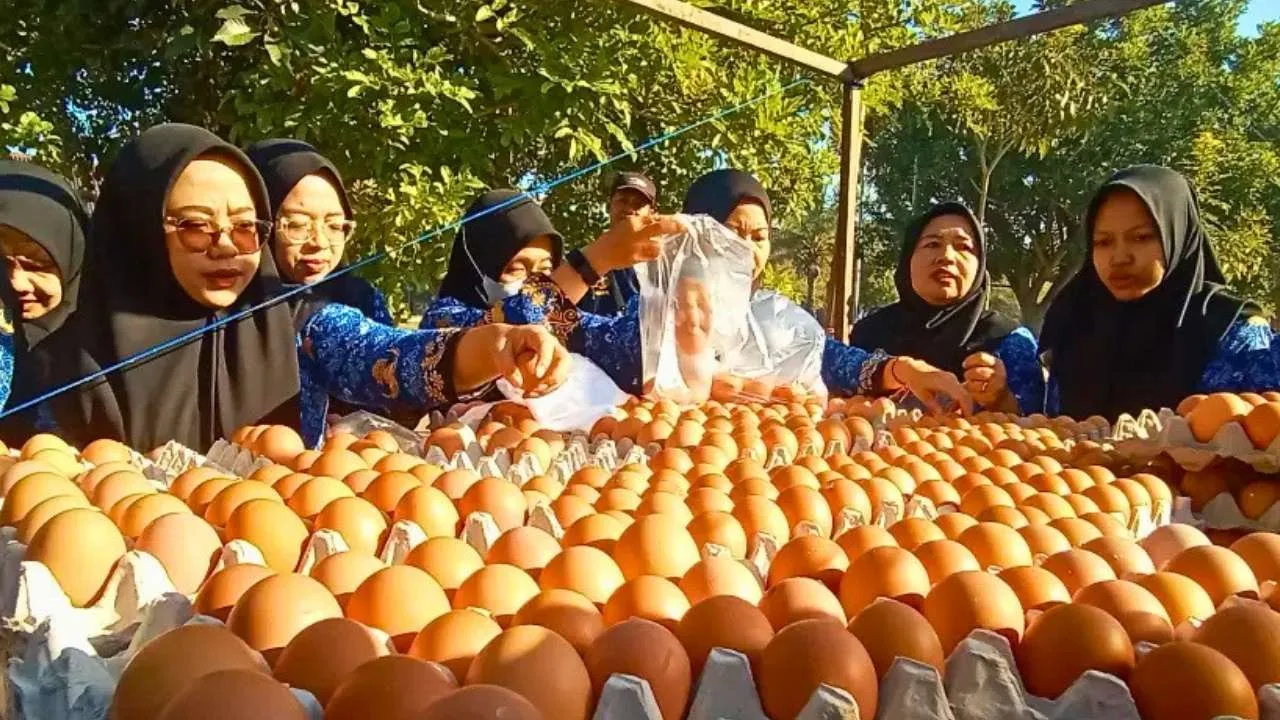 Telur Melimpah Bikin Harga Tertekan, Blitar Cari Pasar sampai Sumenep