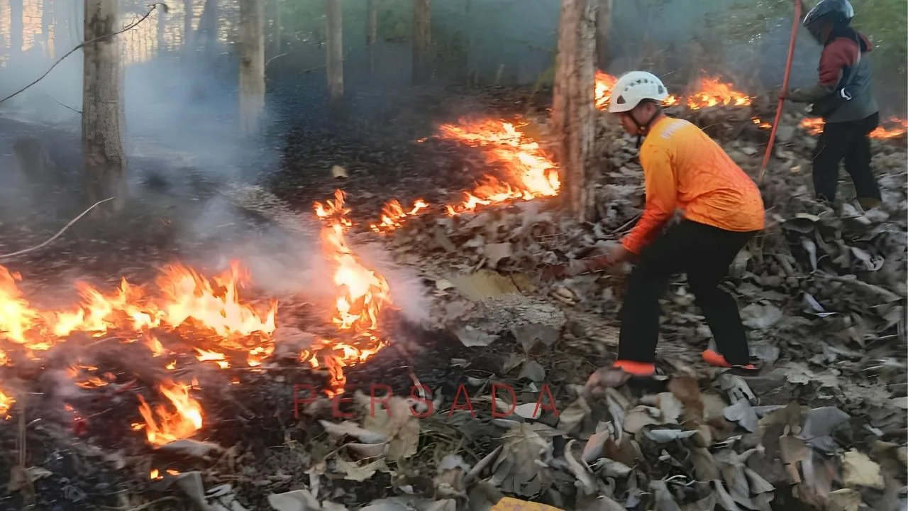 Nyaris Bersamaan, Karhutla Bakar 2 Hektare Lahan di Kabupaten Blitar
