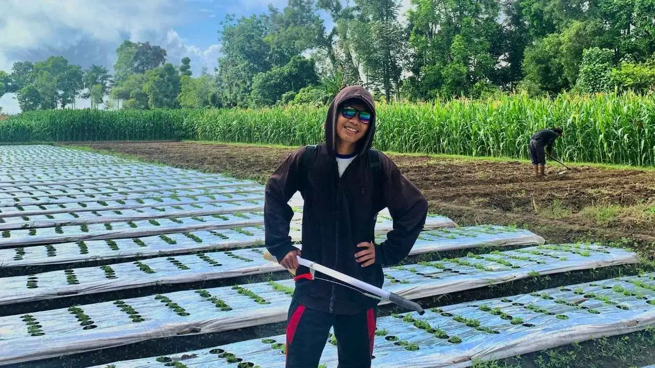 Pendapatan Tergerus Mesin, Azis Subasri Tinggalkan Pabrik Kelapa dan Jadi Petani Kemangi di Blitar