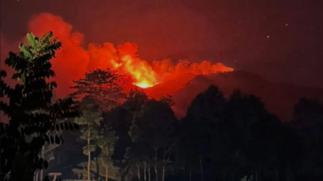 Karhutla Landa Gunung Buthak, BPBD Blitar: Tim Gabungan Masih Berjibaku di Lapangan