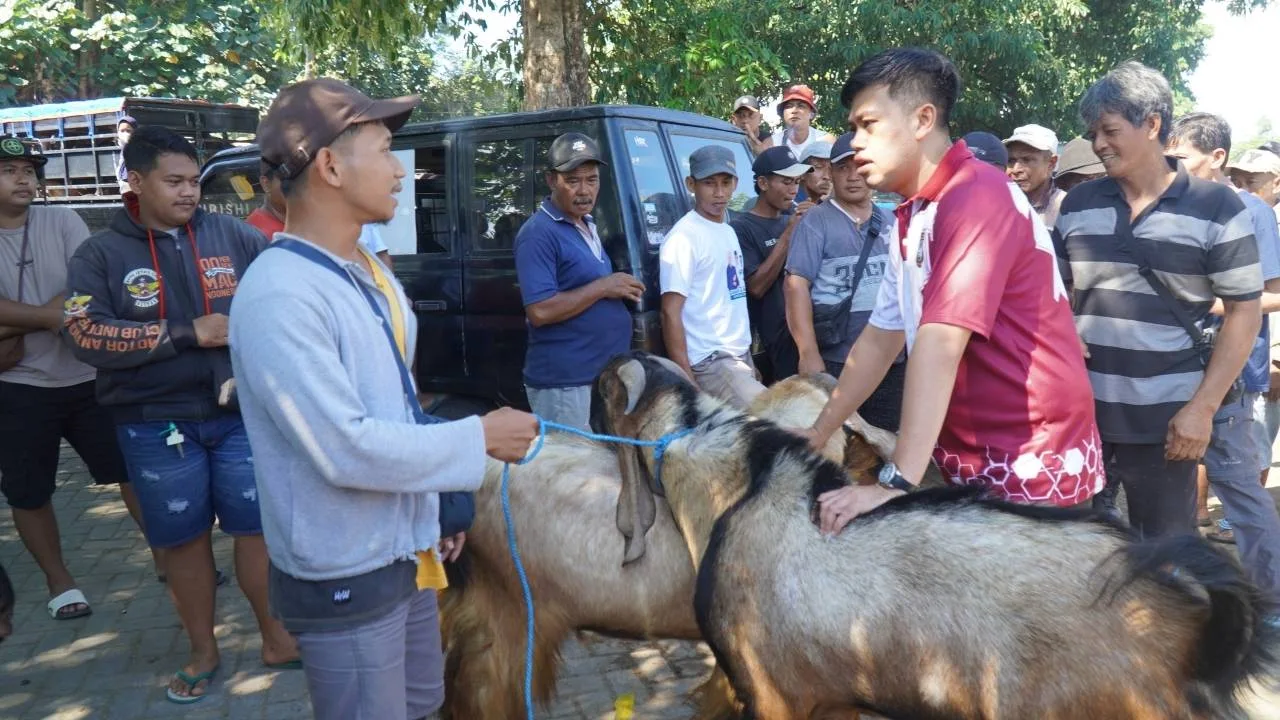 Sapi dan Kambing Laris Manis, Transaksi di Pasar Dimoro Blitar Tembus Rp20,6 Miliar