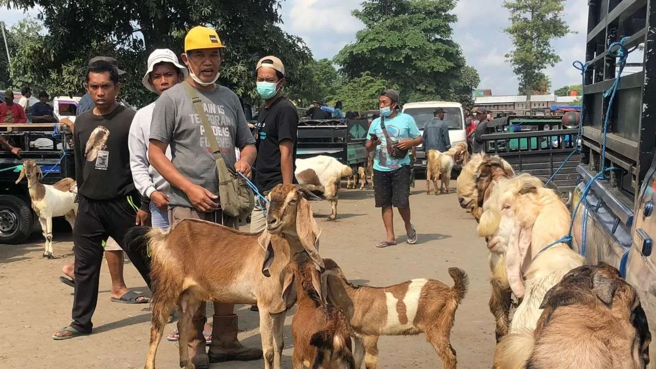 Kelihaian Negosiasi Blantik Blitar, Seni Menaksir Harga Ternak Tak Sekedar Modal Omongan