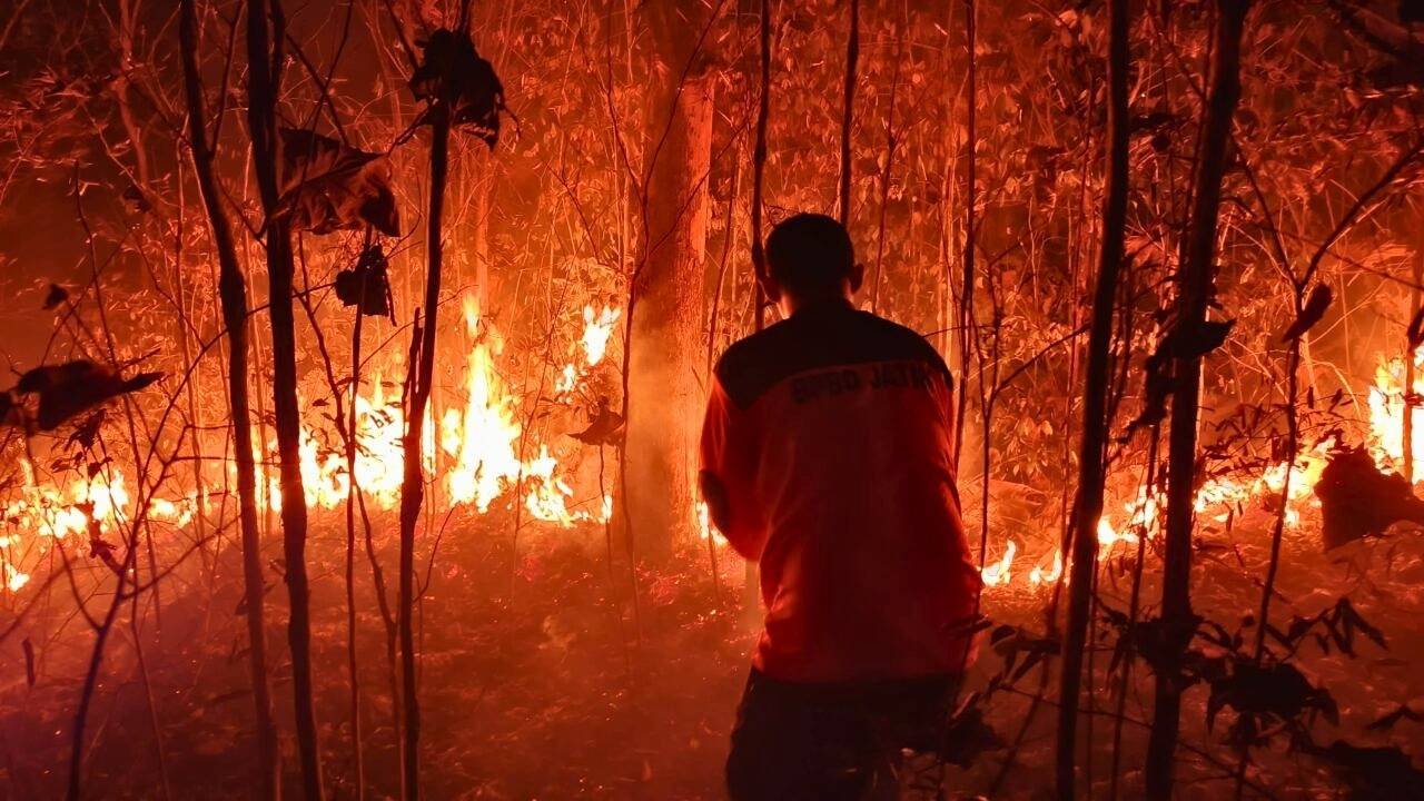 Musim Kemarau Tingkatkan Risiko Karhutla, BPBD Blitar Minta Warga Tak Buang Puntung Rokok Sembarangan