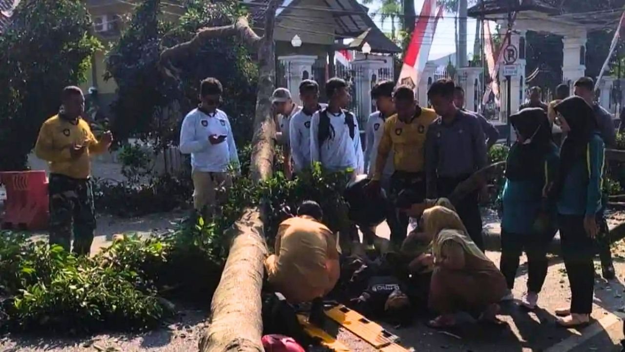 Cabang Pohon Beringin Roboh di Alun-alun Blitar, Satu Pengendara Motor Terluka