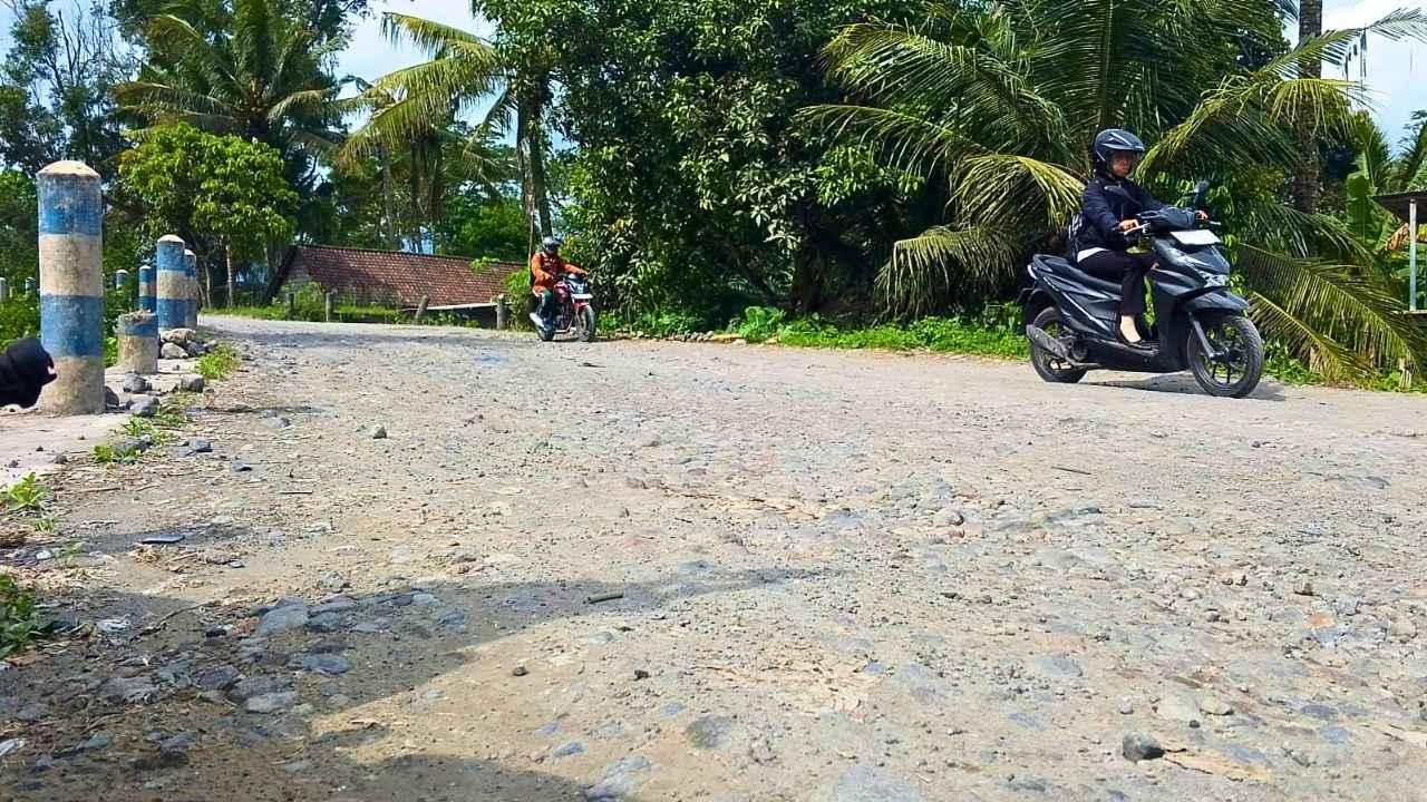 Jalan Kedawung-Sumberasri Blitar Rusak Parah, Warga Minta Ada Perbaikan