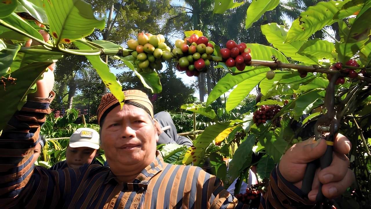 Didominasi Kelapa dan Tebu, Perkebunan Blitar Capai 34.150 Hektare