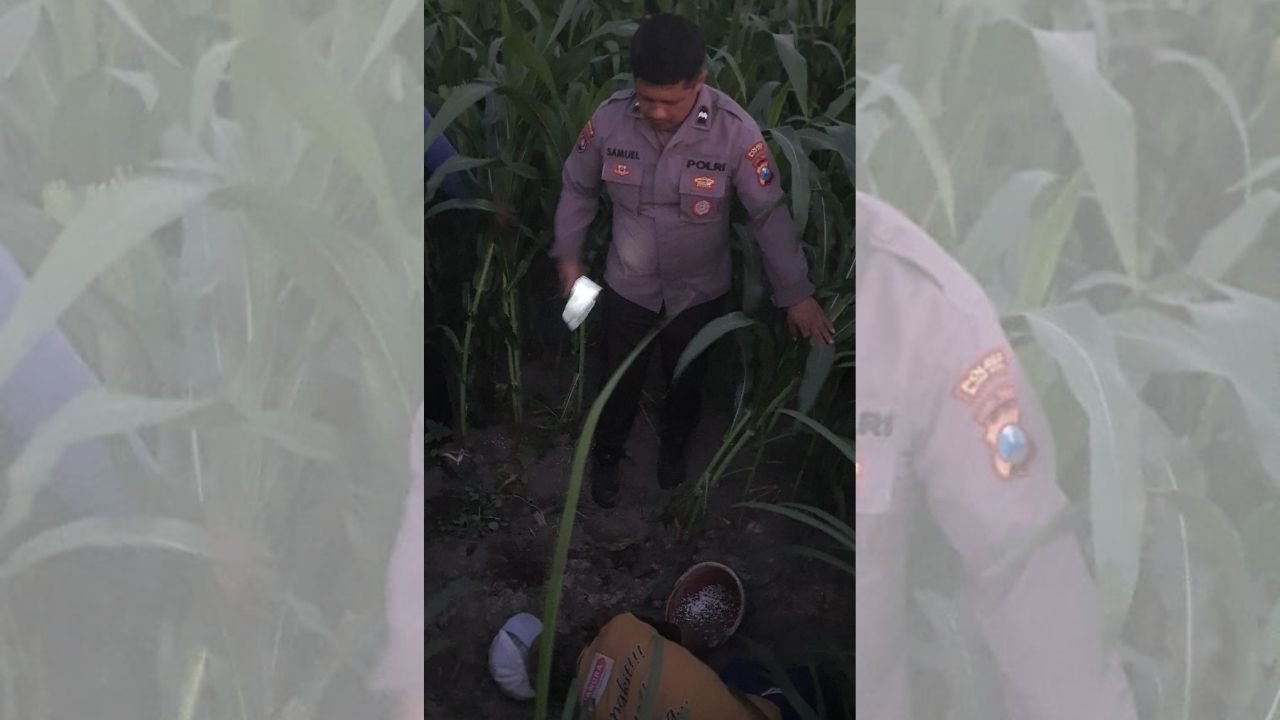 Diduga Akibat Sakit Jantung, Lansia Ditemukan Meninggal di Sawah Blitar