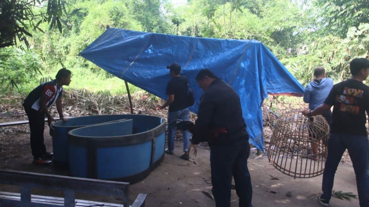Polres Blitar Kota Tertibkan Arena Sabung Ayam