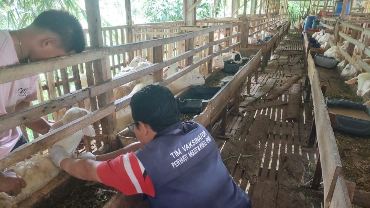 Disnakkan Kabupaten Blitar Bagikan Cara Jaga Kesehatan Hewan Ternak